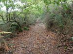 DSCN0586 (Large).JPG