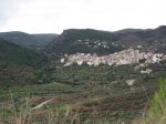 olocau 027.jpg