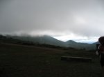 olocau 033.jpg