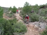 olocau 035.jpg