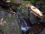 100_8658.jpg