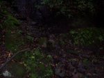 100_8662.jpg