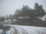 100_0754.JPG