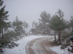 100_0771.JPG