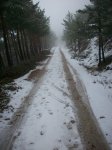 100_0783.JPG