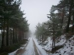 100_0784.JPG