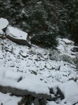 100_0846.JPG