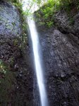 100_8666.jpg