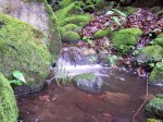 100_8671.jpg