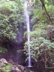 100_8673.jpg