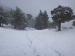 100_0874.JPG
