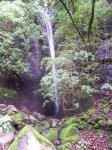 100_8676.jpg