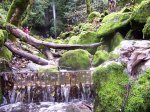 100_8679.jpg