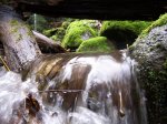 100_8681.jpg