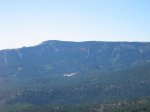 IMG_4535.jpg