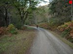 foromtb_image_01nov_03_num.jpg
