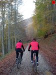 foromtb_image_01nov_05_num.jpg