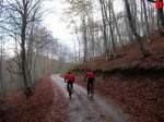 foromtb_image_01nov_06_num.jpg