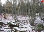 foromtb_image_01nov_07_num.jpg