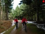foromtb_image_01nov_08_num.jpg