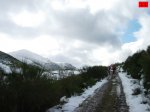 foromtb_image_01nov_11_num.jpg