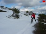 foromtb_image_01nov_13_num.jpg