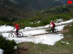 foromtb_image_01nov_17_num.jpg