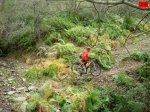foromtb_image_01nov_25_num.jpg