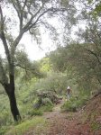 sendero.jpg