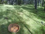 DSC00506.jpg