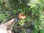 DSC00512.jpg