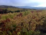 Tarde soleada llegando a Villafranca.jpg