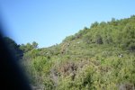 IMG_4355.JPG
