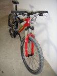 PICT0036.jpg