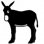 burrocatala.jpg