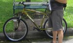 trek3900 verd.jpg