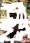 jabali.jpg
