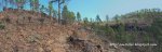 Panorama 13.JPG