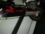 IMGP3852.jpg