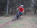 DSC06544.JPG