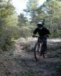 en la rama al cap.jpg