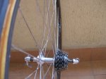 RUEDA SACHS ROSCA.jpg