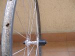 RUEDA SHIMANO TUBULAR.jpg