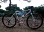 Imagen017.jpg