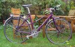 giant touring small.jpg