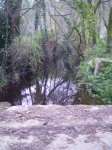 fotos bouturela 004.jpg