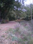 fotos bouturela 017.jpg
