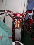 DSC05289.jpg