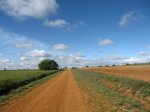 IMG_1054.JPG