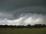 IMG_3289.JPG